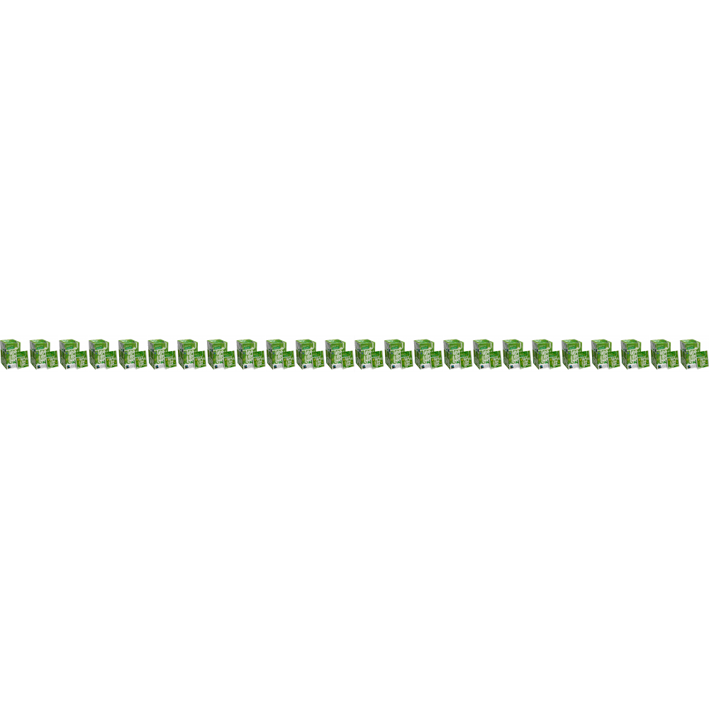 Green Tea - Biologisch & Fairtrade - 24 x Tea of Life - 25 theezakjes